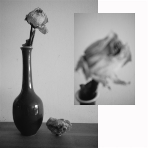 Nihilism in Decay