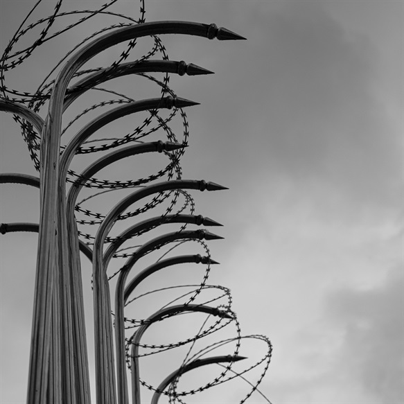 Barbed Silence
