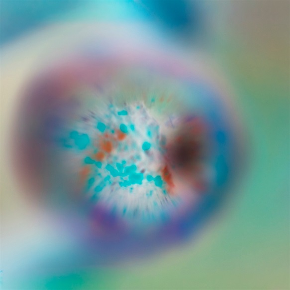 Entropy Core