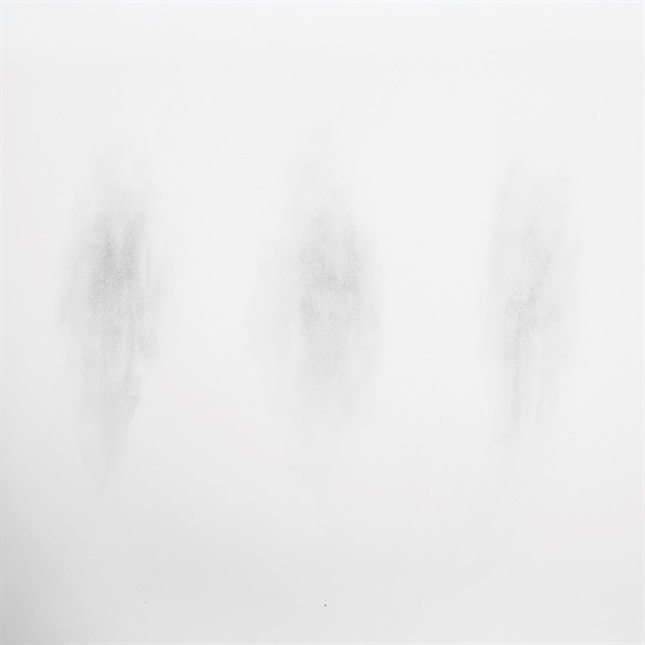 Shadows of Form