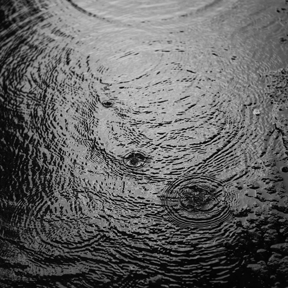 Waves of Cause and Life