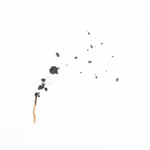 Trajectory of Life